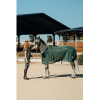 Maschera antimosche Horze Oslo Coriandolo verde Maschera antimosche Horze Oslo Coriandolo verde