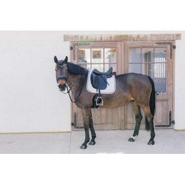 Sottosella Metal Chain Dressage Kentucky Sottosella Metal Chain Dressage Kentucky