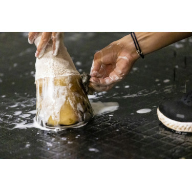 Shampooing Lucy diamonds Kevin Bacon's Shampooing Lucy diamonds Kevin Bacon's