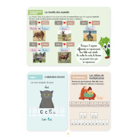 Mon Cahier d'Activités - Niveau CM2 LAVAUZELLE Mon Cahier d'Activités - Niveau CM2 LAVAUZELLE
