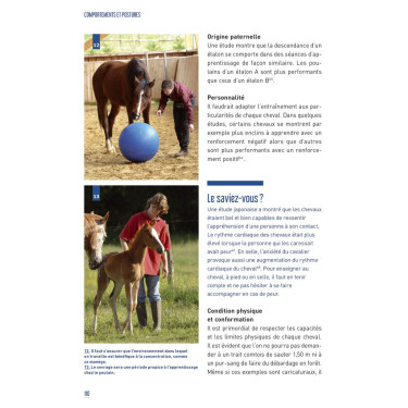 Comportamenti e posture Comportamenti e posture
