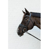 Filet nasale Kentucky Nero Filet nasale Kentucky Nero