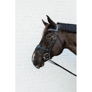 Filet nasale Kentucky Nero