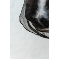 Filet nasale Kentucky Nero