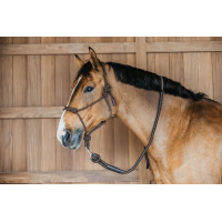 Lunga Dy'on con moschettone Marrone