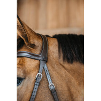 Testiera senza imboccatura Bitless Dy'on Marrone