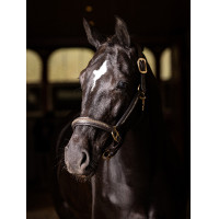 Capezzina LeMieux Leather Crystal Marrone Capezzina LeMieux Leather Crystal Marrone