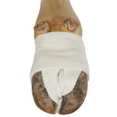 Fascia imbottita CottinoStar Kerbl Fascia imbottita CottinoStar Kerbl