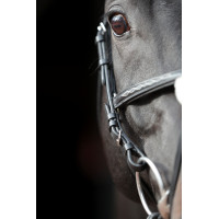 Briglia Cancun Covalliero Nero