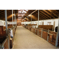 Telecamera IPCam 360 FHD Compatta Kerbl Nero