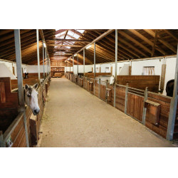 Telecamera IPCam 360 FHD Compatta Kerbl Nero