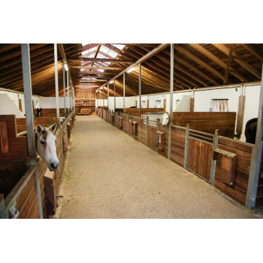 Telecamera IPCam 360 FHD Compatta Kerbl Nero