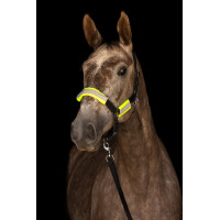 Kit bridon + licol réfléchissants Covalliero Kit bridon + licol réfléchissants Covalliero