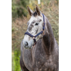 Capezzina per cavallo Royal Covalliero Capezzina per cavallo Royal Covalliero