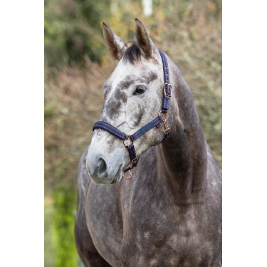 Capezzina per cavallo Royal Covalliero Capezzina per cavallo Royal Covalliero