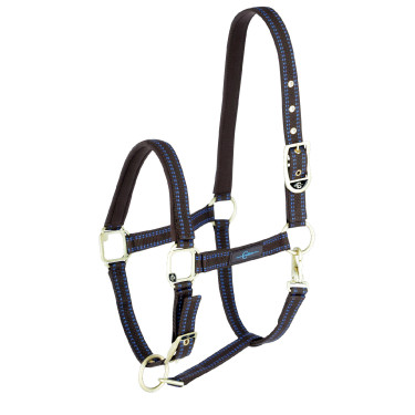 Capezzina per cavallo Royal Covalliero Marrone / azzurro chiaro