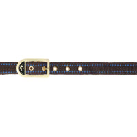 Capezzina per cavallo Royal Covalliero Blu / caramello