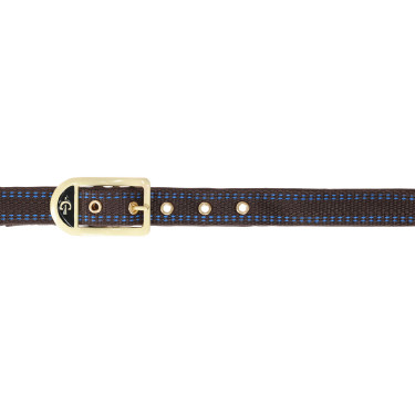 Capezzina per cavallo Royal Covalliero Marrone / azzurro chiaro