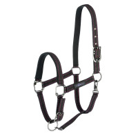Capezzina per cavallo Royal Covalliero Nero / fucsia