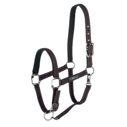 Capezzina per cavallo Royal Covalliero Nero / fucsia