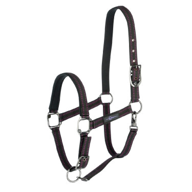 Capezzina per cavallo Royal Covalliero Nero / fucsia
