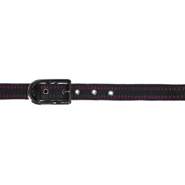 Capezzina per cavallo Royal Covalliero Nero / fucsia