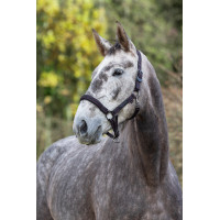 Capezzina per cavallo Royal Covalliero Blu / caramello