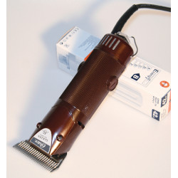 Tosatrice Golden A5 Oster Rosso vino