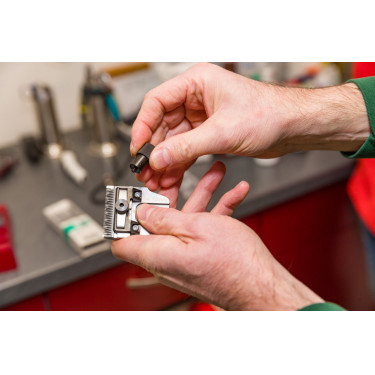 Torqui Favorita Aesculap