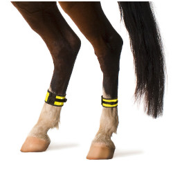 Bandes réfléchissantes Covalliero