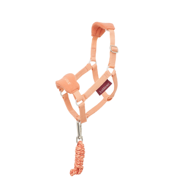 Capestro per hobby horse LeMieux Albicocca Arancione