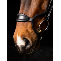 Briglia LeMieux Arika capezzina anatomica regolabile Nero / argento Briglia LeMieux Arika capezzina anatomica regolabile Nero / argento