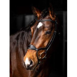 Briglia LeMieux Arika capezzina anatomica regolabile Nero / argento Briglia LeMieux Arika capezzina anatomica regolabile Nero / argento