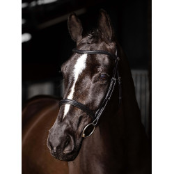 Briglia LeMieux Arika Cavesson Nero / argento Briglia LeMieux Arika Cavesson Nero / argento