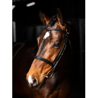 Briglia LeMieux Arika Cavesson Nero / argento Briglia LeMieux Arika Cavesson Nero / argento