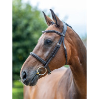 Briglia LeMieux Arika Cavesson Nero / argento Briglia LeMieux Arika Cavesson Nero / argento