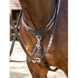 Pettorale elastico Arika LeMieux Nero / argento