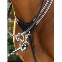 Pettorale elastico Arika LeMieux Nero / argento