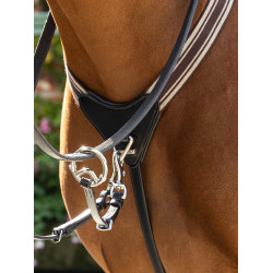 Pettorale elastico Arika LeMieux Nero / argento