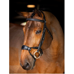 Briglia LeMieux Kudos museruola anatomica regolabile Nero / argento