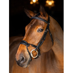 Briglia LeMieux Kudos museruola anatomica regolabile Nero / argento