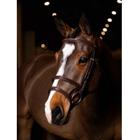 Briglia doppia con doppio capezzone LeMieux Kudos Avana / ottone Marrone