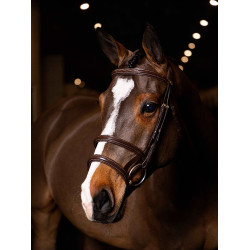 Briglia doppia con doppio capezzone LeMieux Kudos Avana / ottone Marrone Briglia doppia con doppio capezzone LeMieux Kudos Avana / ottone Marrone