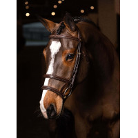 Briglia doppia con doppio capezzone LeMieux Kudos Avana / ottone Marrone