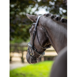 Briglia LeMieux Kudos Patent dressage Briglia LeMieux Kudos Patent dressage