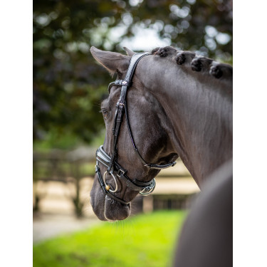 Briglia LeMieux Kudos Patent dressage Briglia LeMieux Kudos Patent dressage