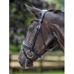 Briglia LeMieux Kudos Patent dressage Briglia LeMieux Kudos Patent dressage