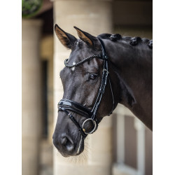 Briglia LeMieux Kudos Patent dressage Briglia LeMieux Kudos Patent dressage