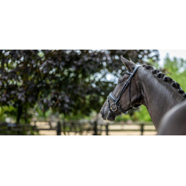 Briglia LeMieux Kudos Patent dressage Briglia LeMieux Kudos Patent dressage