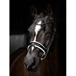Briglia LeMieux Kudos Patent dressage Nero / bianco